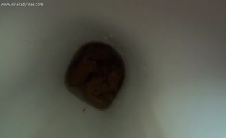 Dirty dutch toiletslave